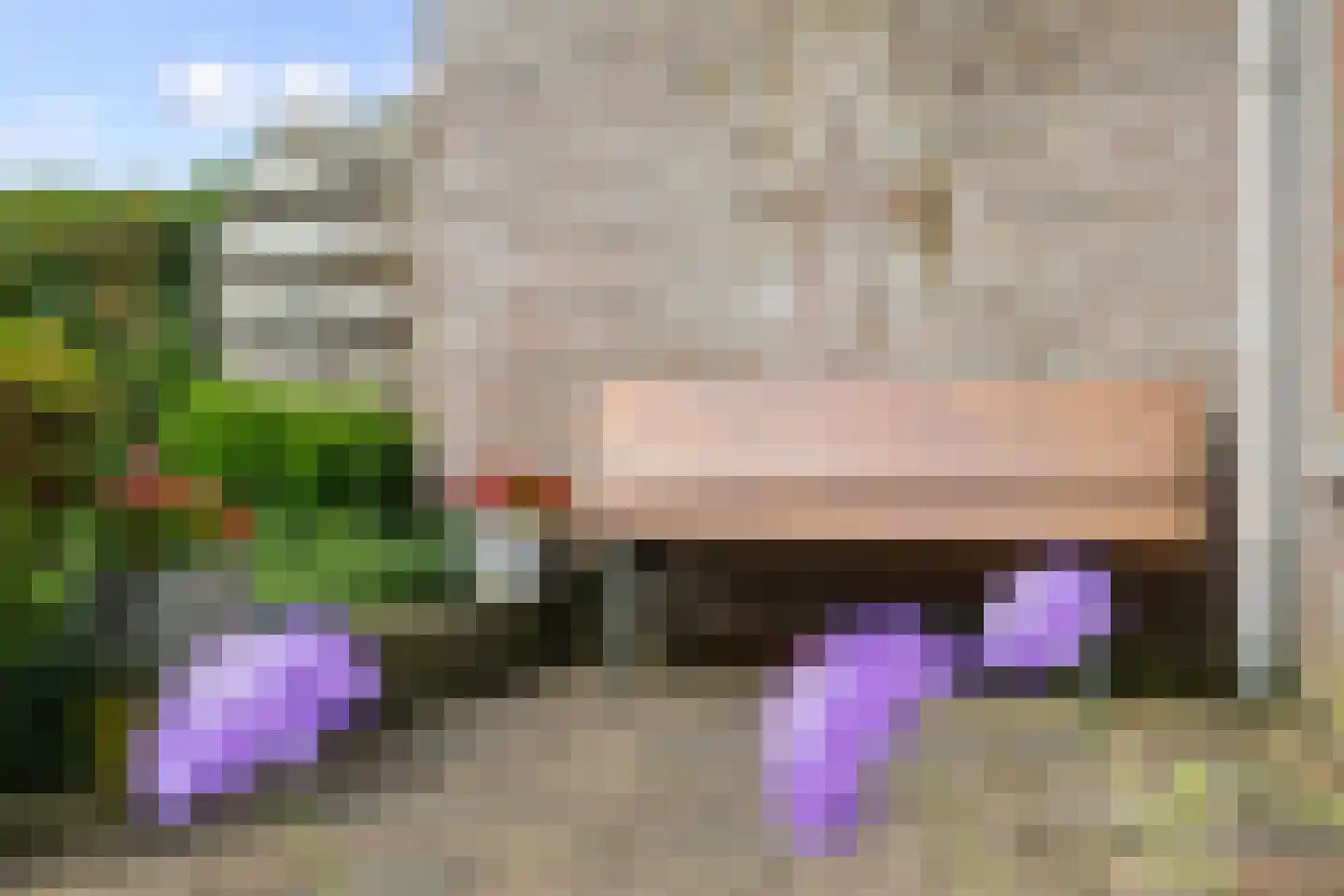 De Gasthuislanden 7 Schoonebeek thumbnail 12
