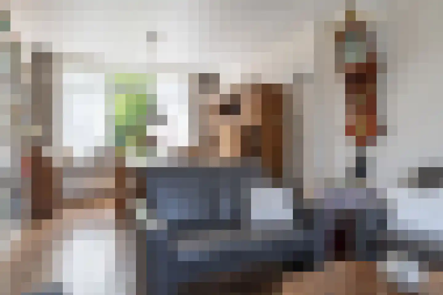 De Gasthuislanden 7 Schoonebeek thumbnail 19