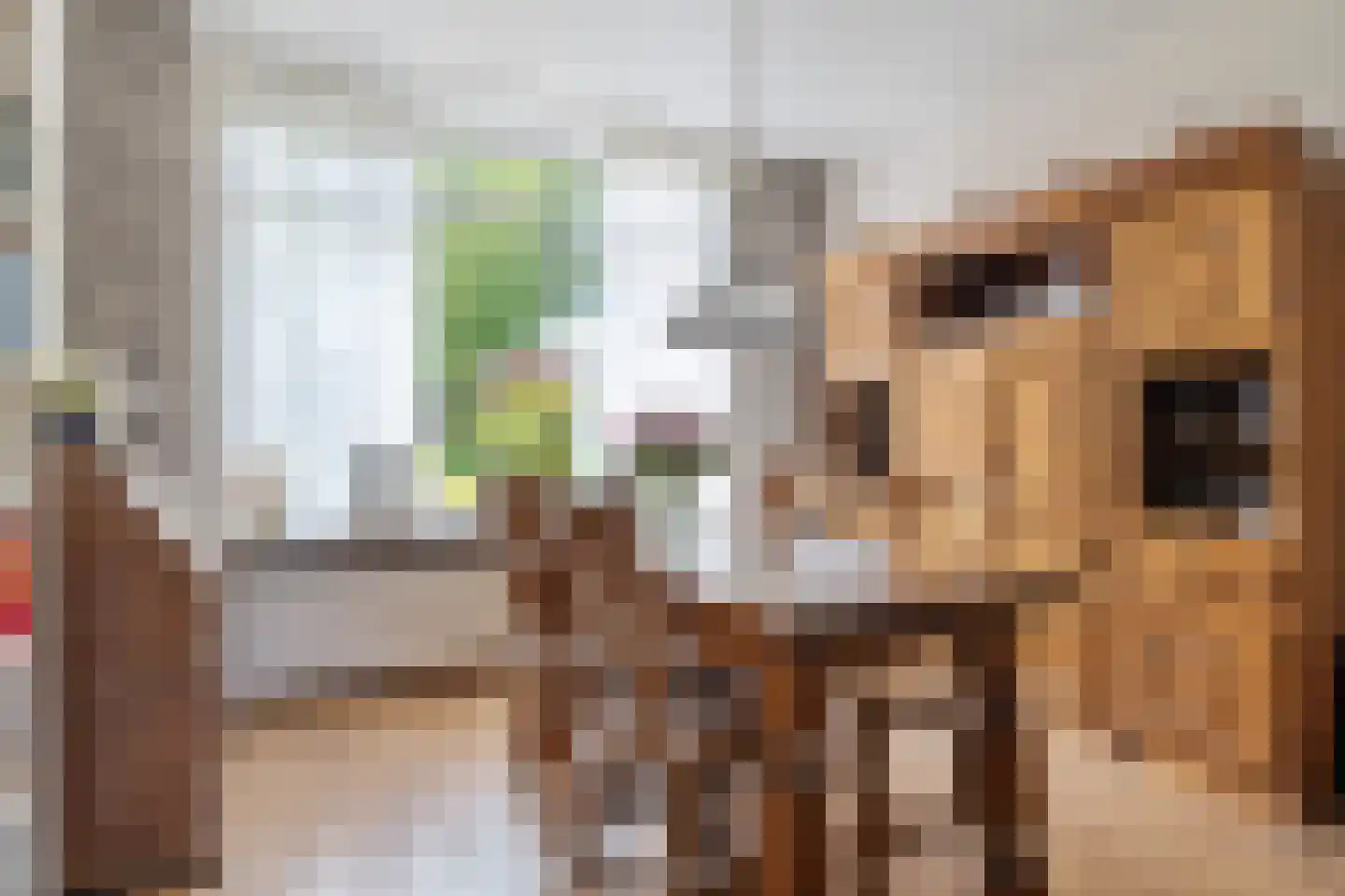 De Gasthuislanden 7 Schoonebeek thumbnail 20