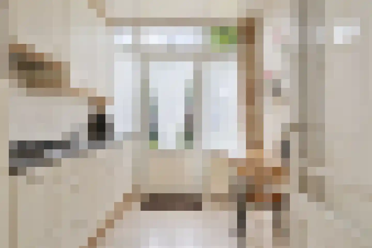 De Gasthuislanden 7 Schoonebeek thumbnail 24