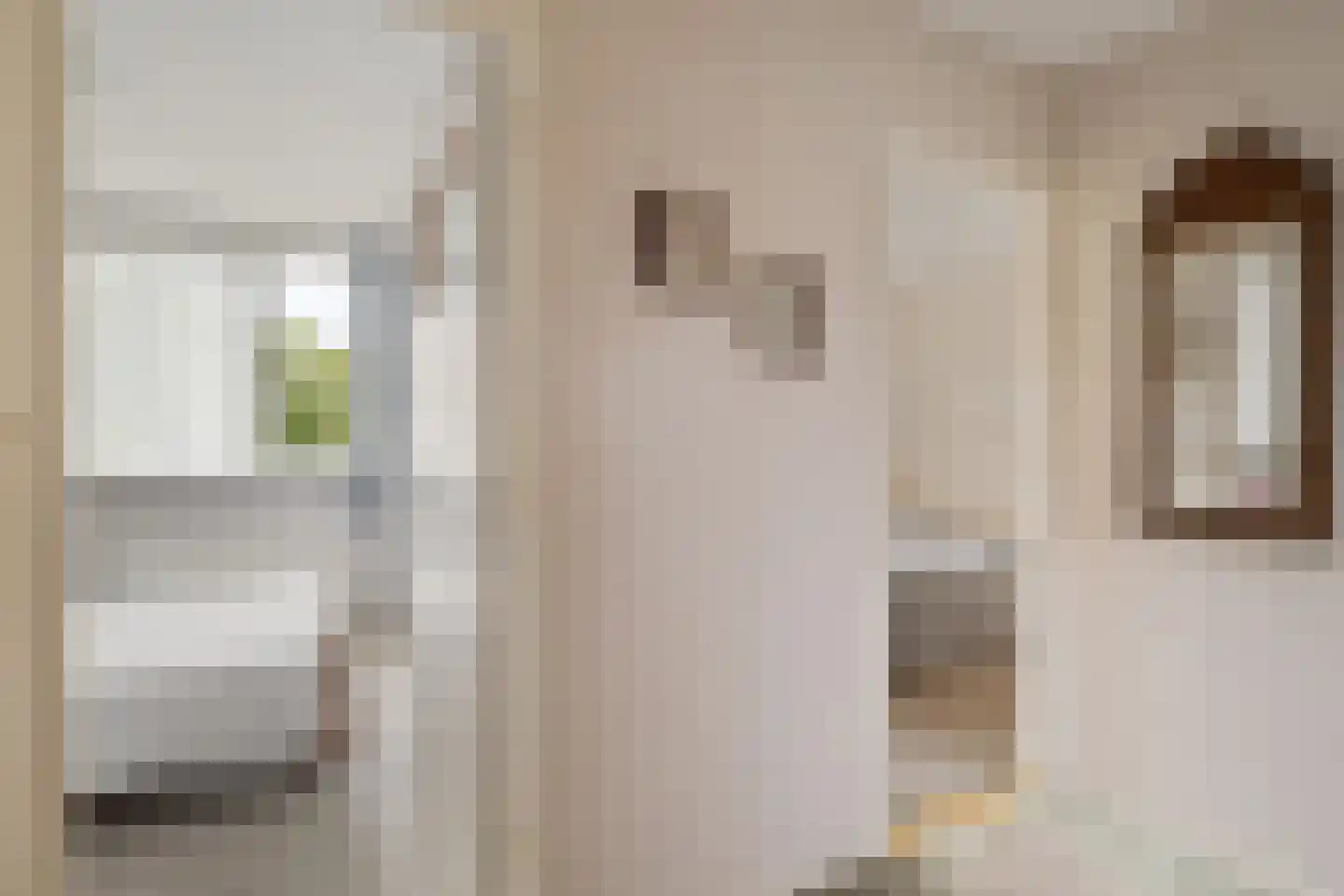 De Gasthuislanden 7 Schoonebeek thumbnail 28
