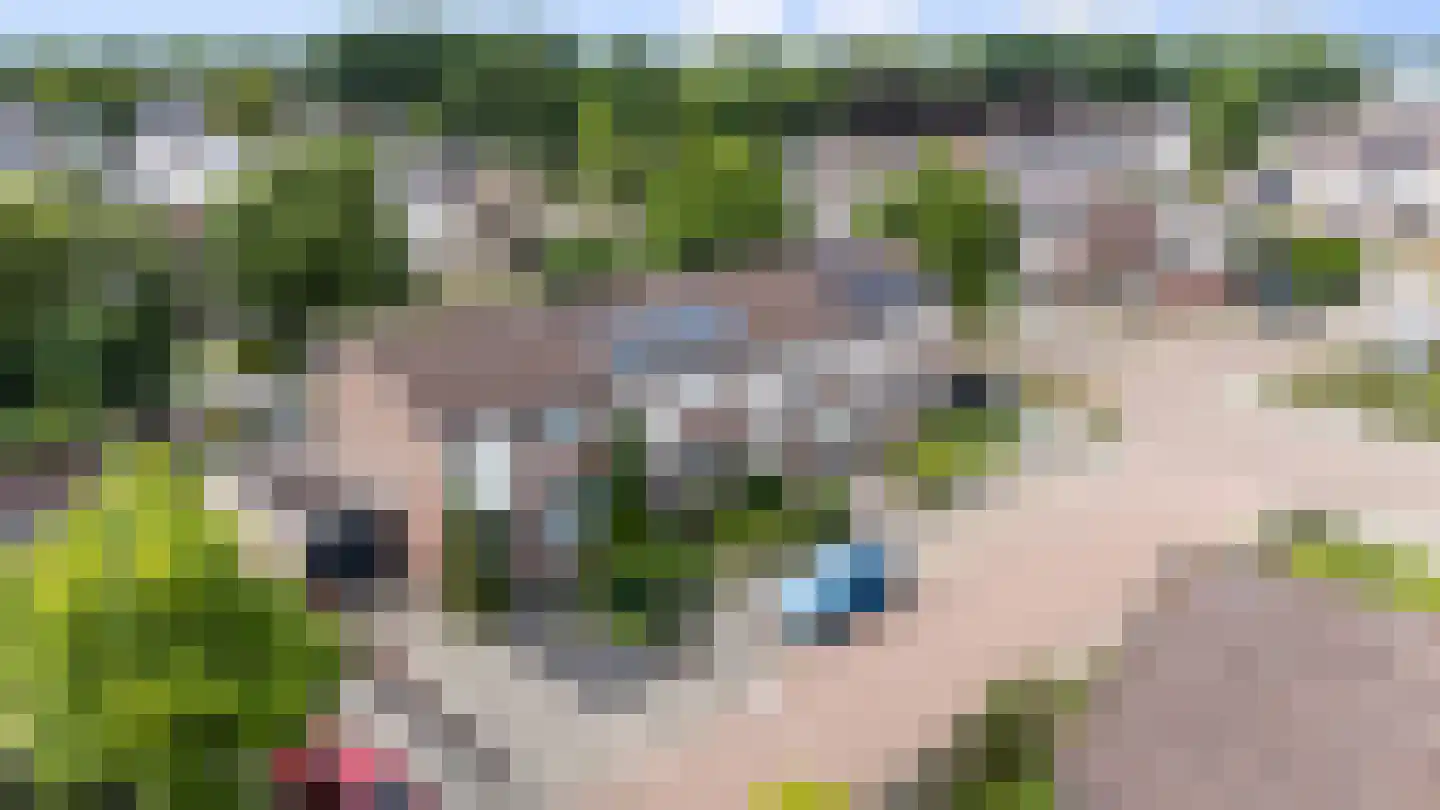 De Gasthuislanden 7 Schoonebeek thumbnail 36