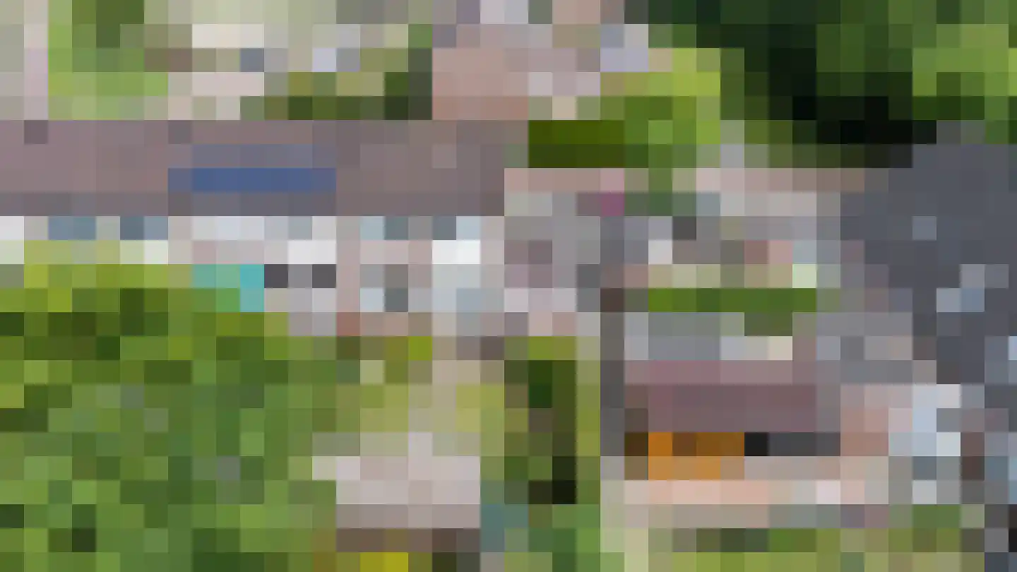 De Gasthuislanden 7 Schoonebeek thumbnail 38