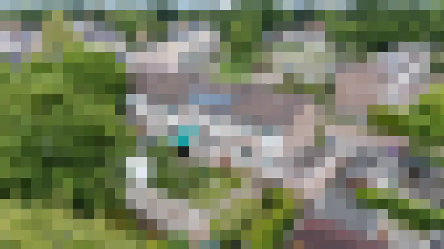 De Gasthuislanden 7 Schoonebeek thumbnail 4