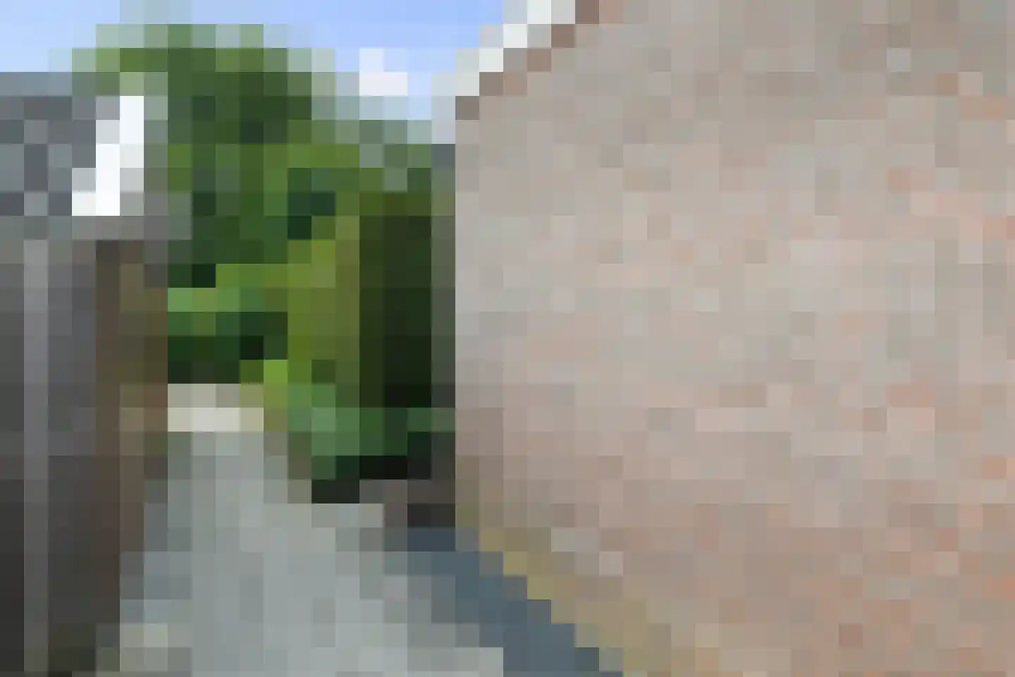 De Gasthuislanden 7 Schoonebeek thumbnail 9