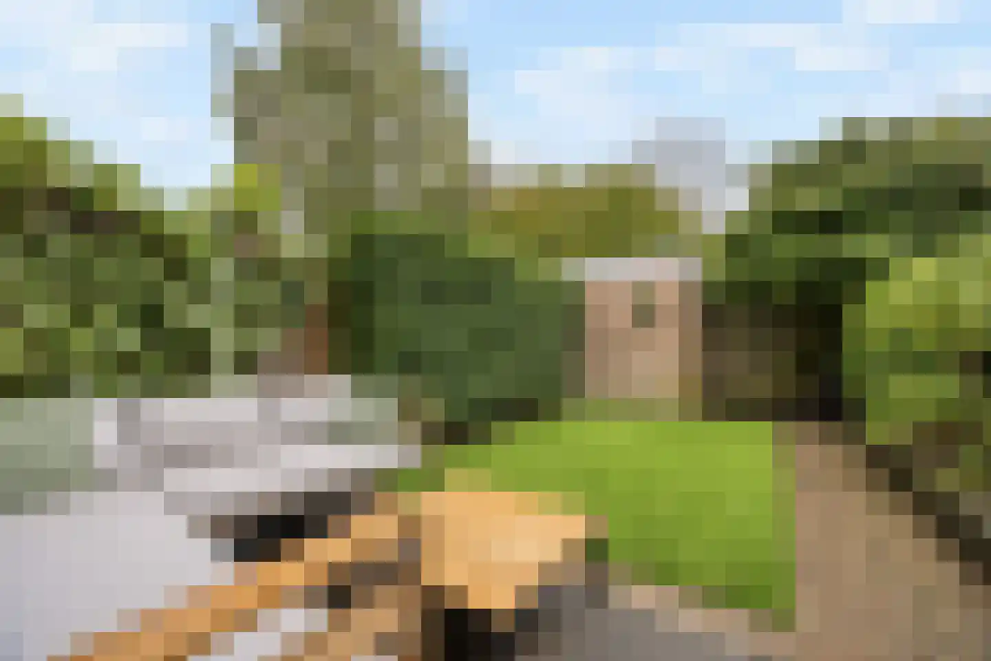 De Gaullelaan 20 Delft thumbnail 35