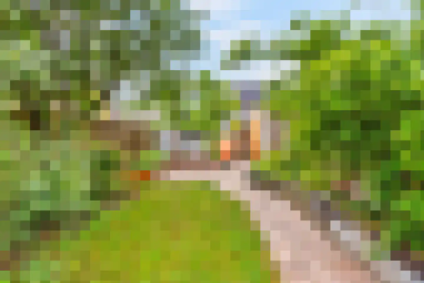 De Gaullesingel 88 Ede thumbnail 27