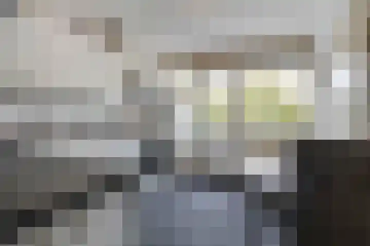 De Gaullesingel 99 Ede thumbnail 10
