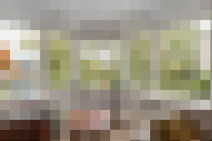 De Gaullesingel 99 Ede thumbnail 4