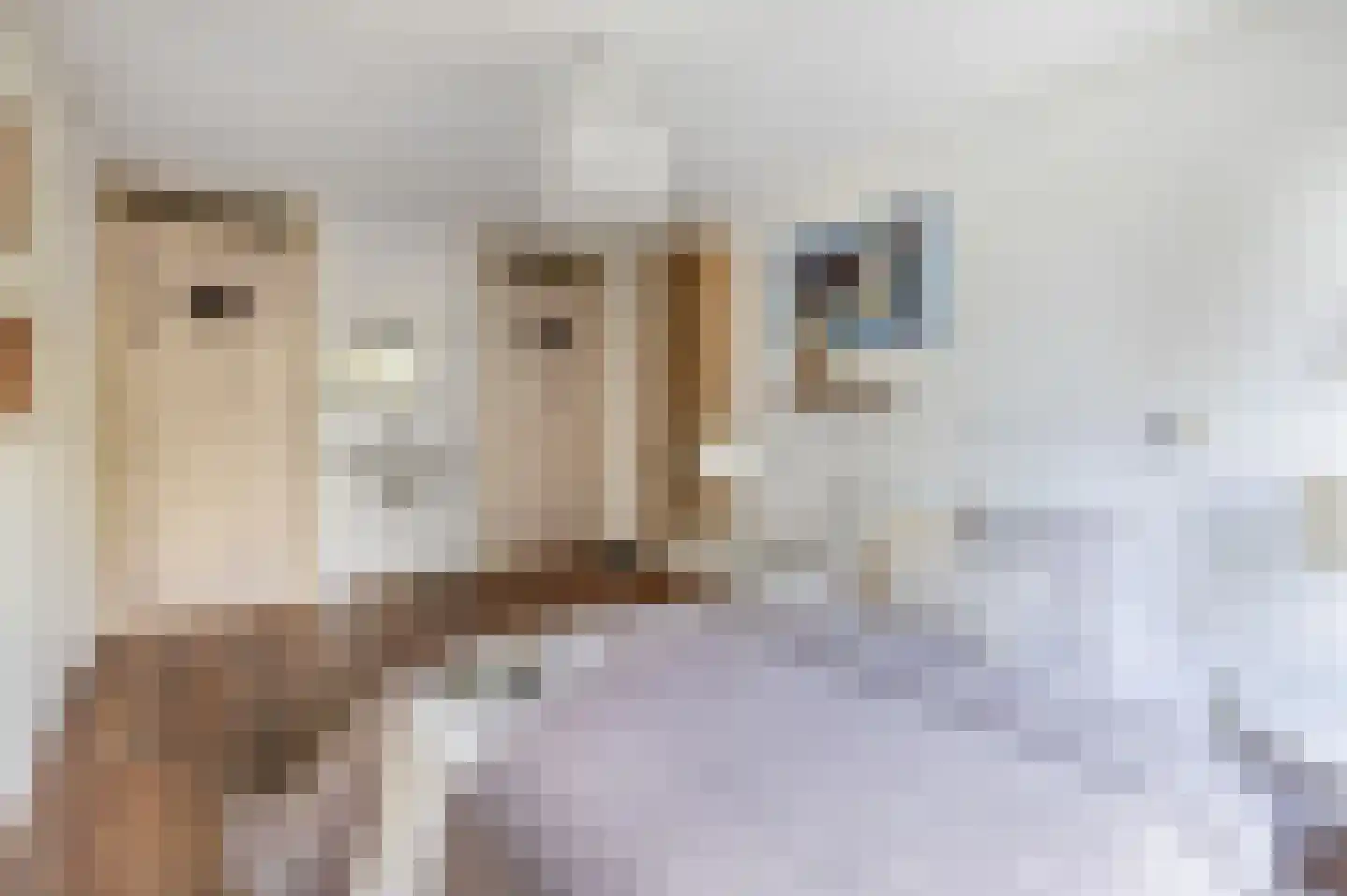 De Gauw 1 Gerkesklooster thumbnail 34