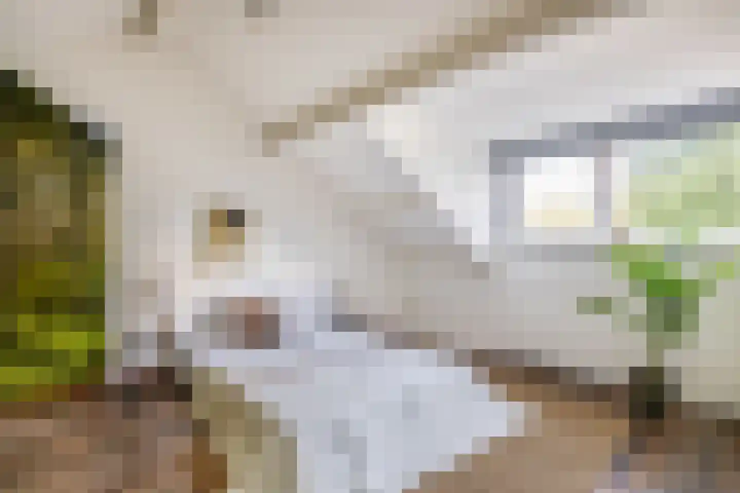 De Gauw 1 Gerkesklooster thumbnail 40