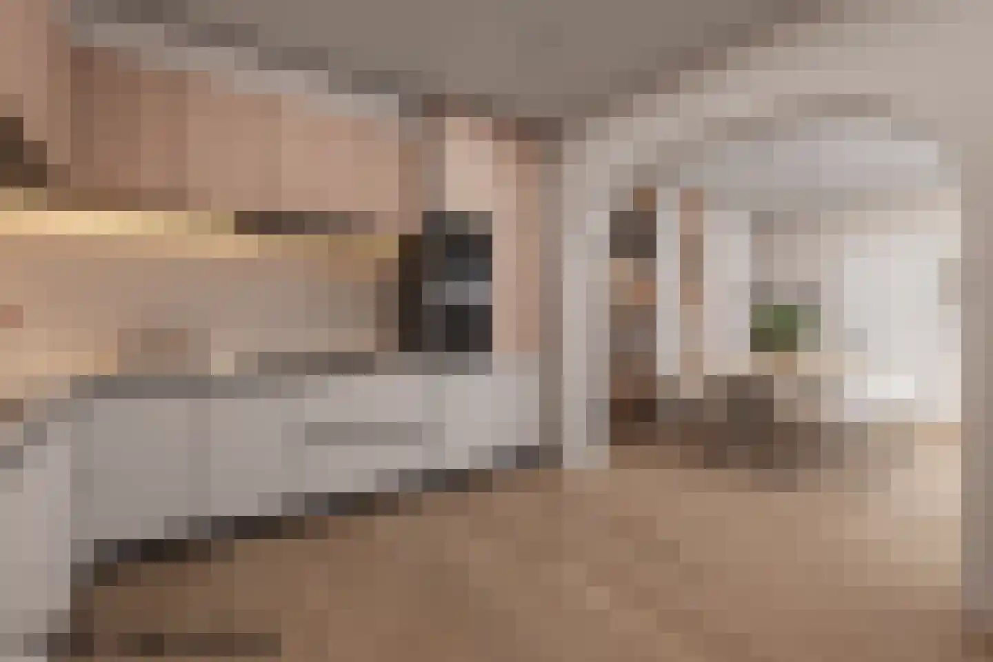 De Gauw 1 Gerkesklooster thumbnail 6