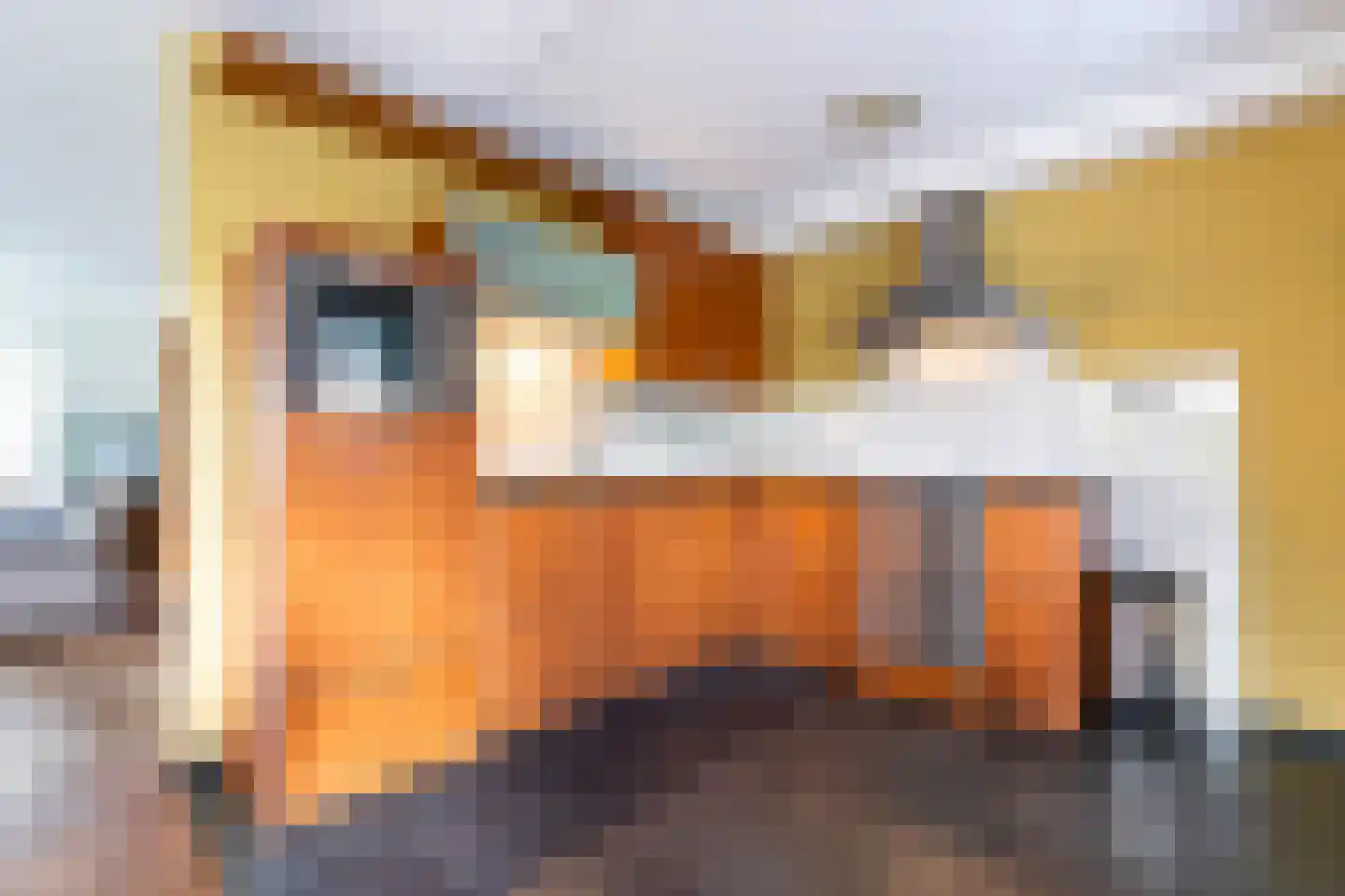 De Gauw 34 Gerkesklooster thumbnail 22