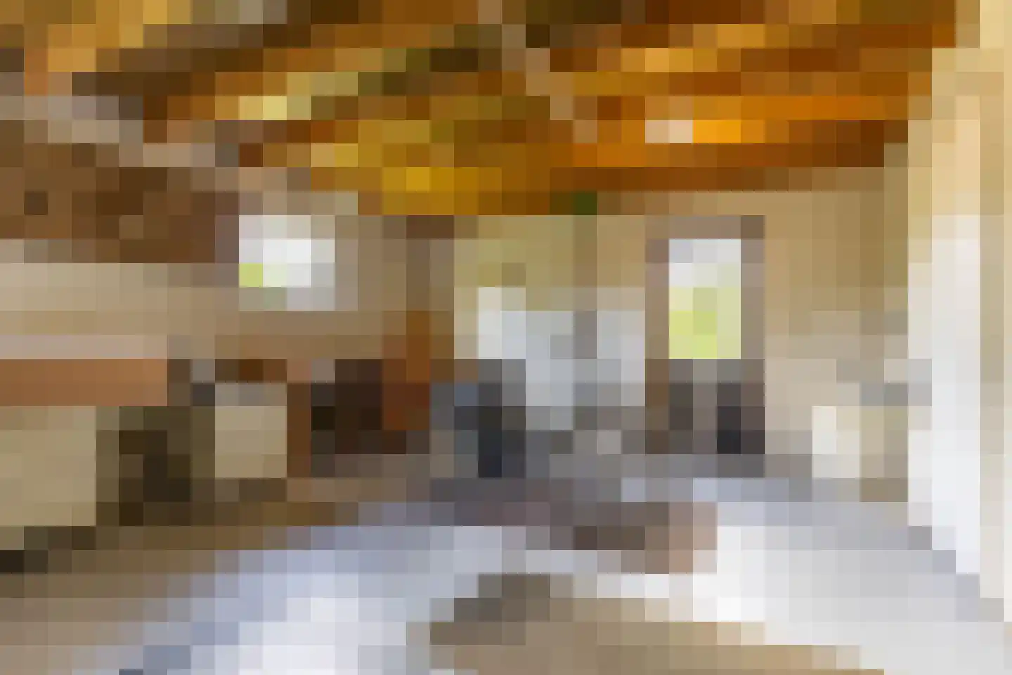 De Gauw 34 Gerkesklooster thumbnail 28