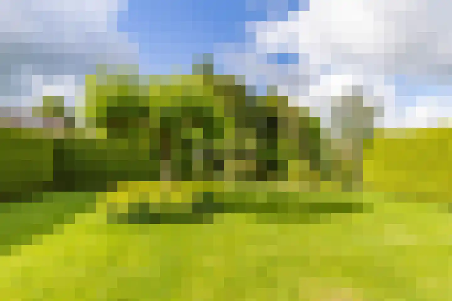 De Gauw 34 Gerkesklooster thumbnail 45