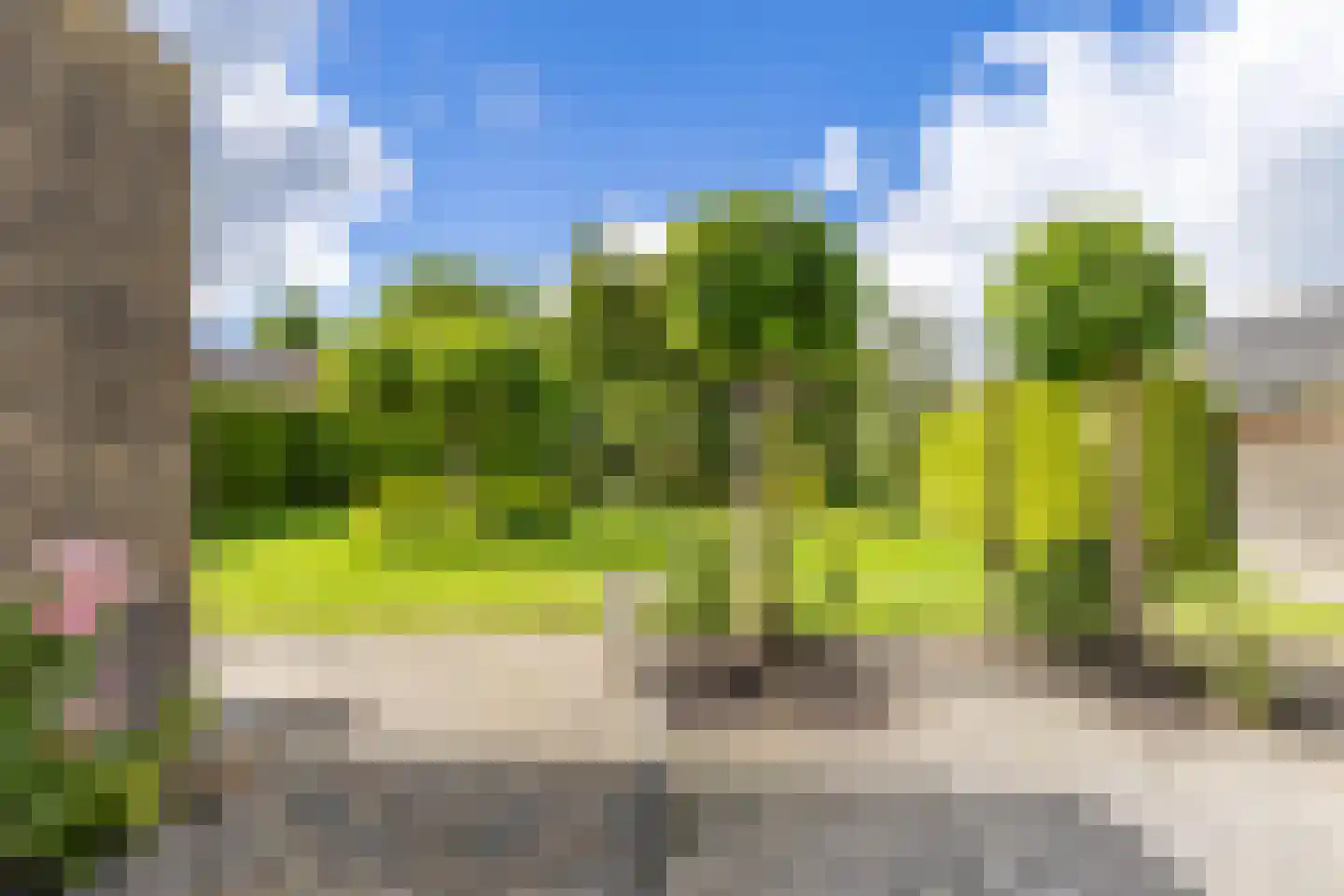 De Gauw 34 Gerkesklooster thumbnail 46