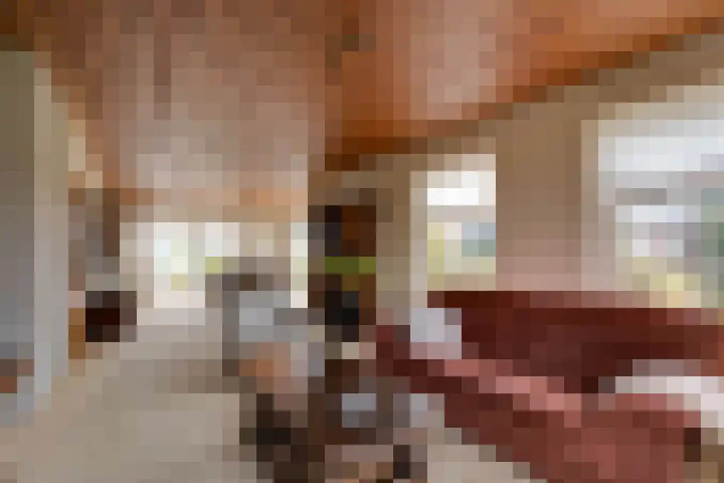 De Gauw 71 Gerkesklooster thumbnail 10