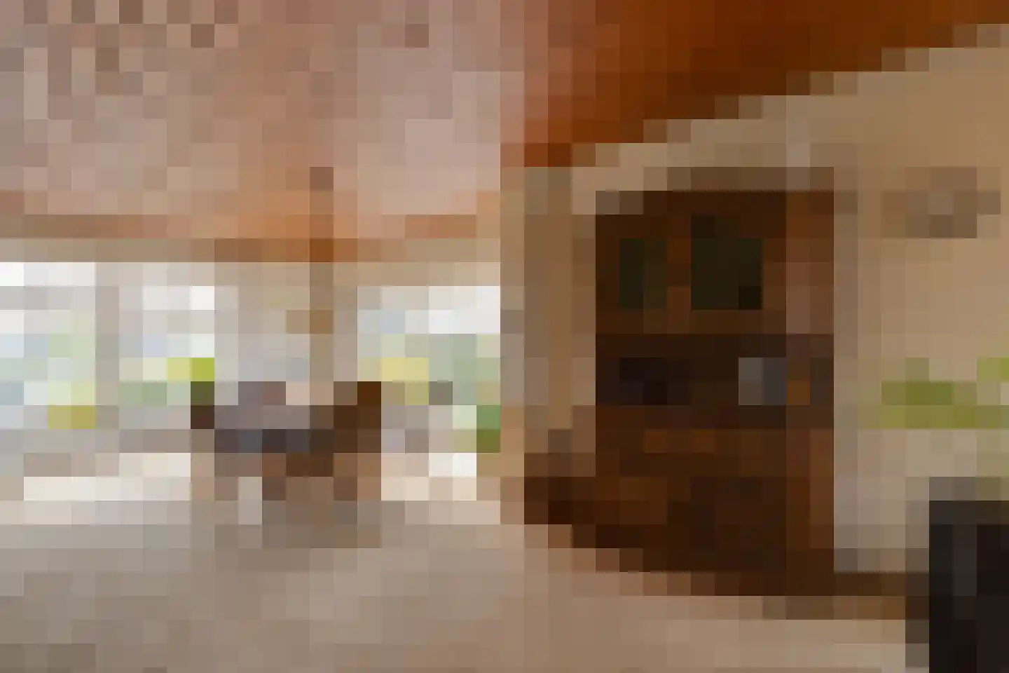De Gauw 71 Gerkesklooster thumbnail 11