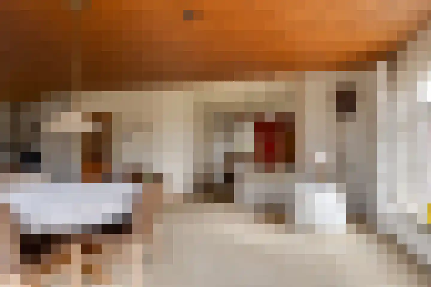 De Gauw 71 Gerkesklooster thumbnail 14