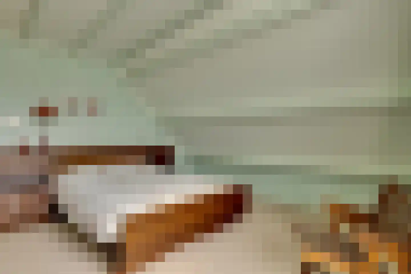 De Gauw 71 Gerkesklooster thumbnail 26