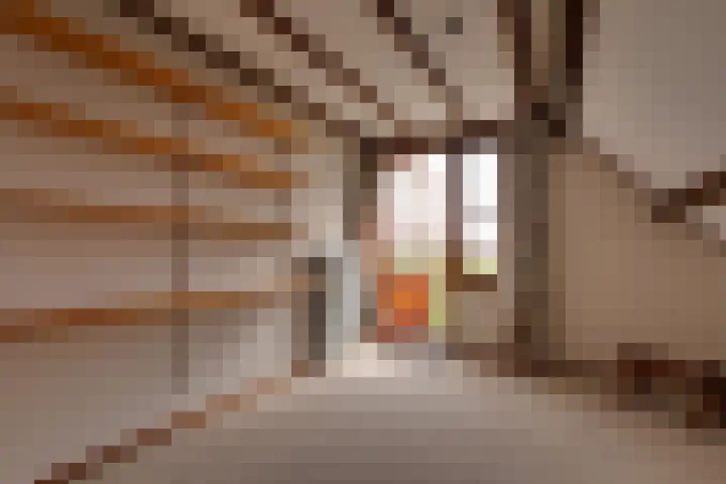De Gauw 71 Gerkesklooster thumbnail 33
