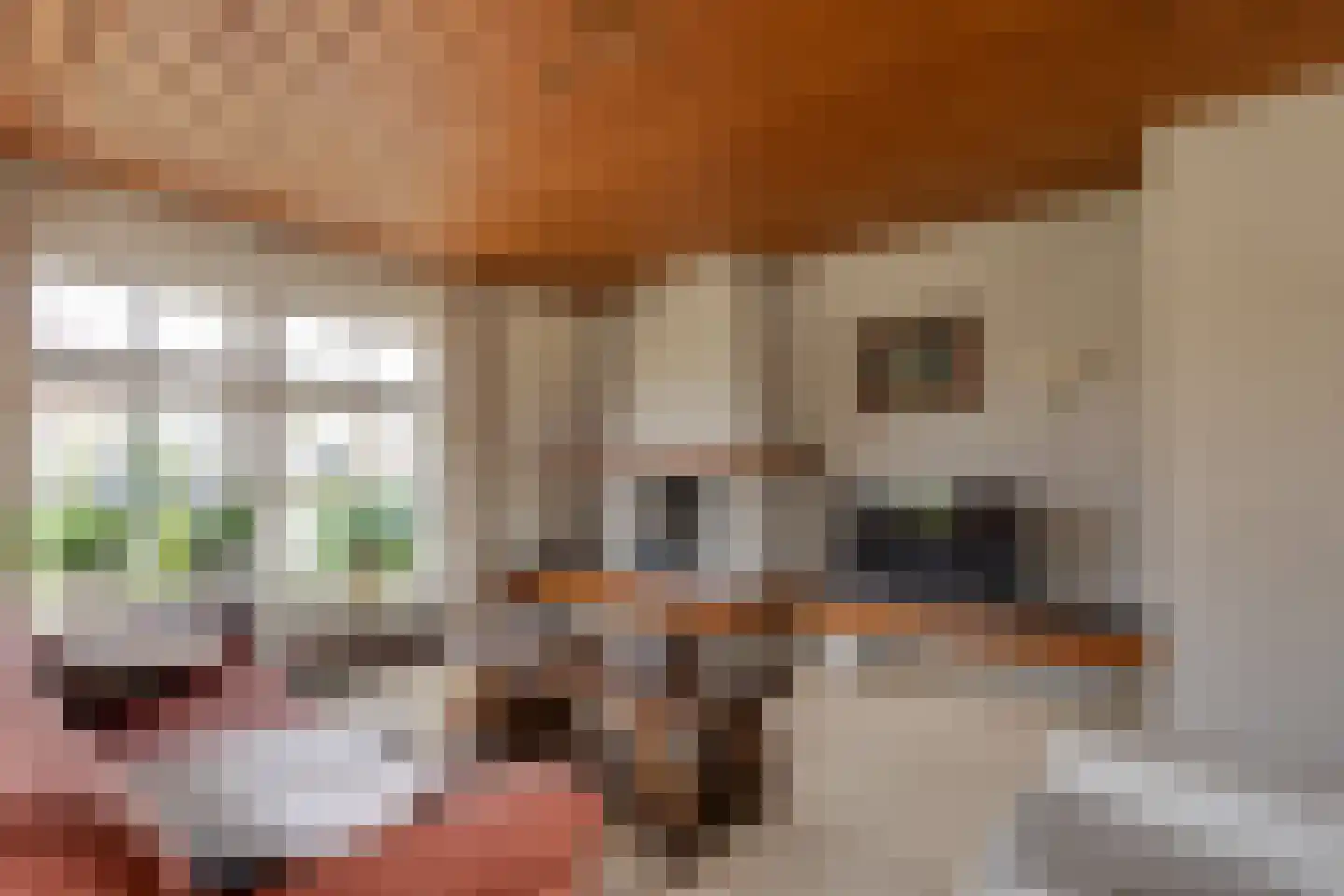 De Gauw 71 Gerkesklooster thumbnail 4