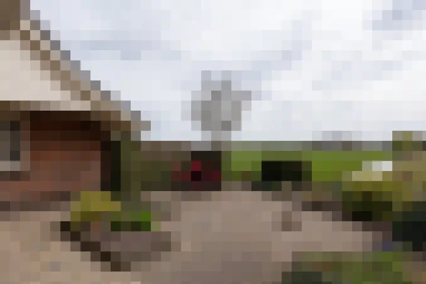 De Gauw 71 Gerkesklooster thumbnail 42