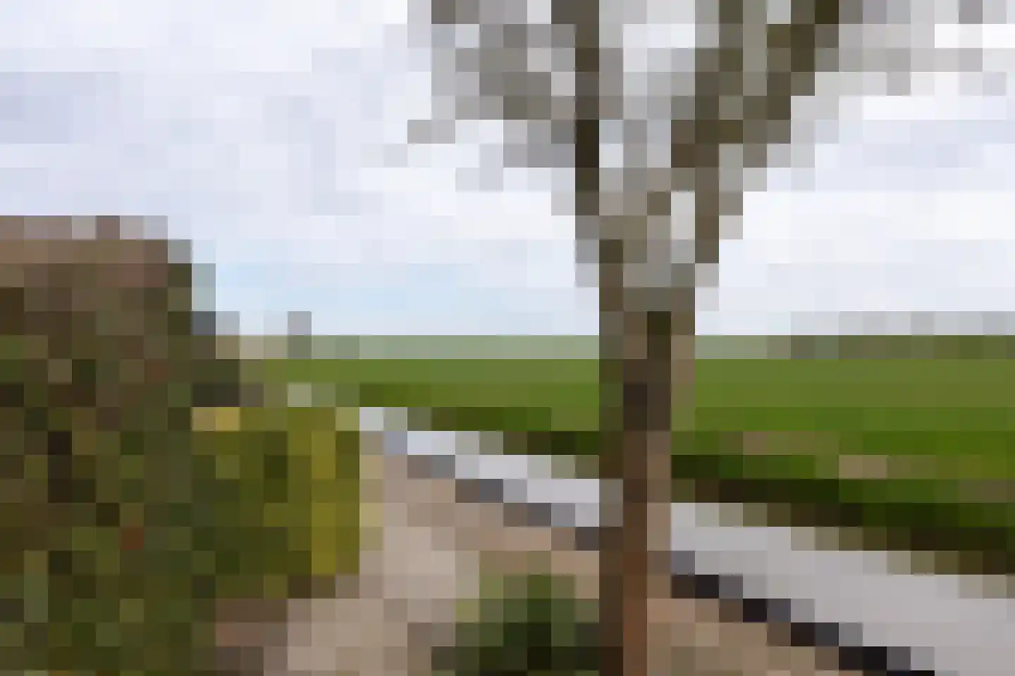De Gauw 71 Gerkesklooster thumbnail 44
