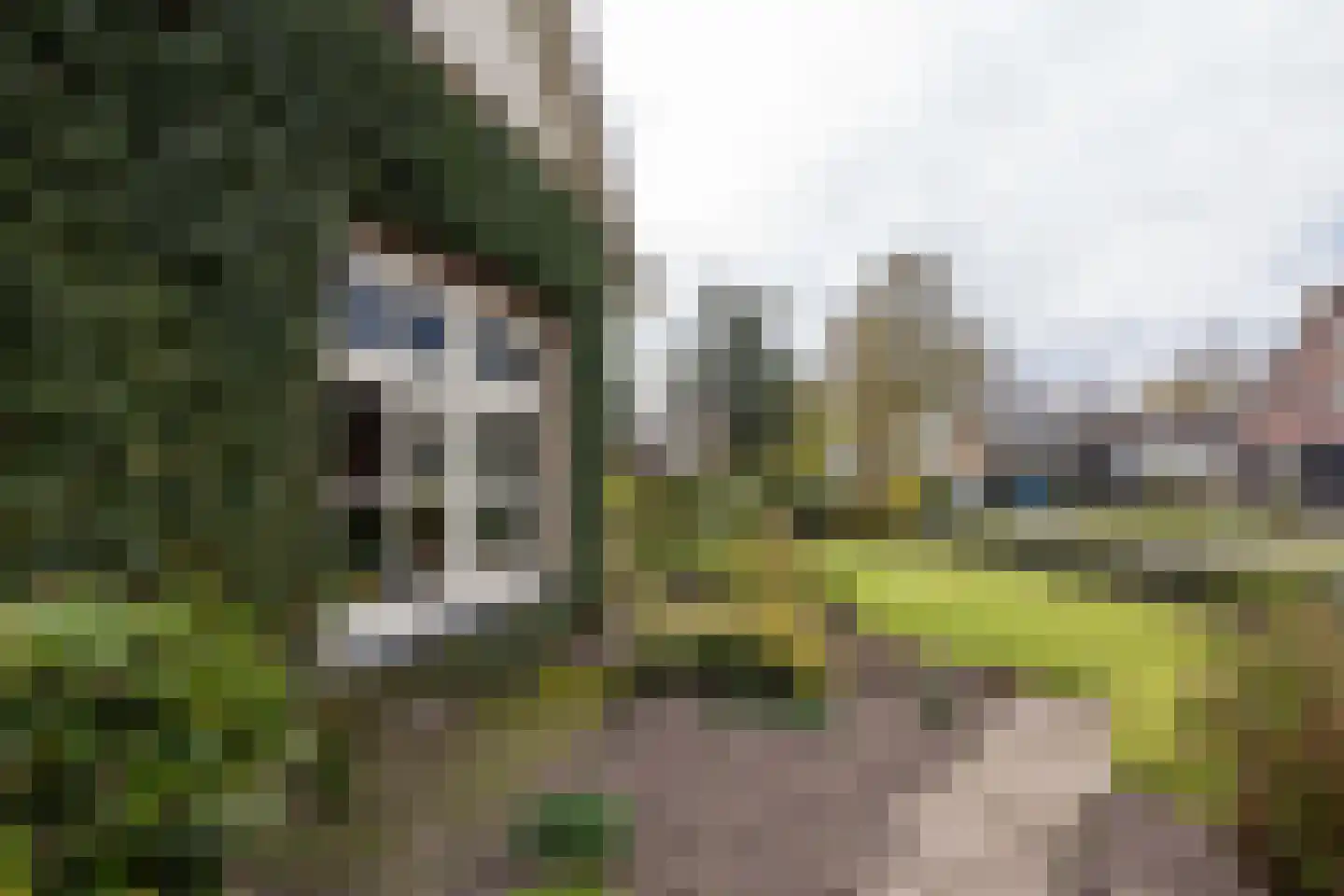 De Gauw 71 Gerkesklooster thumbnail 52