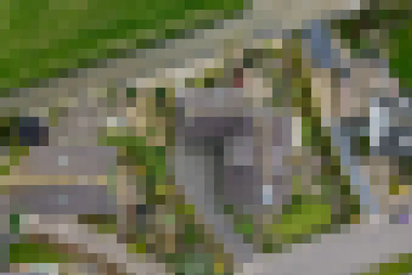 De Gauw 71 Gerkesklooster thumbnail 56