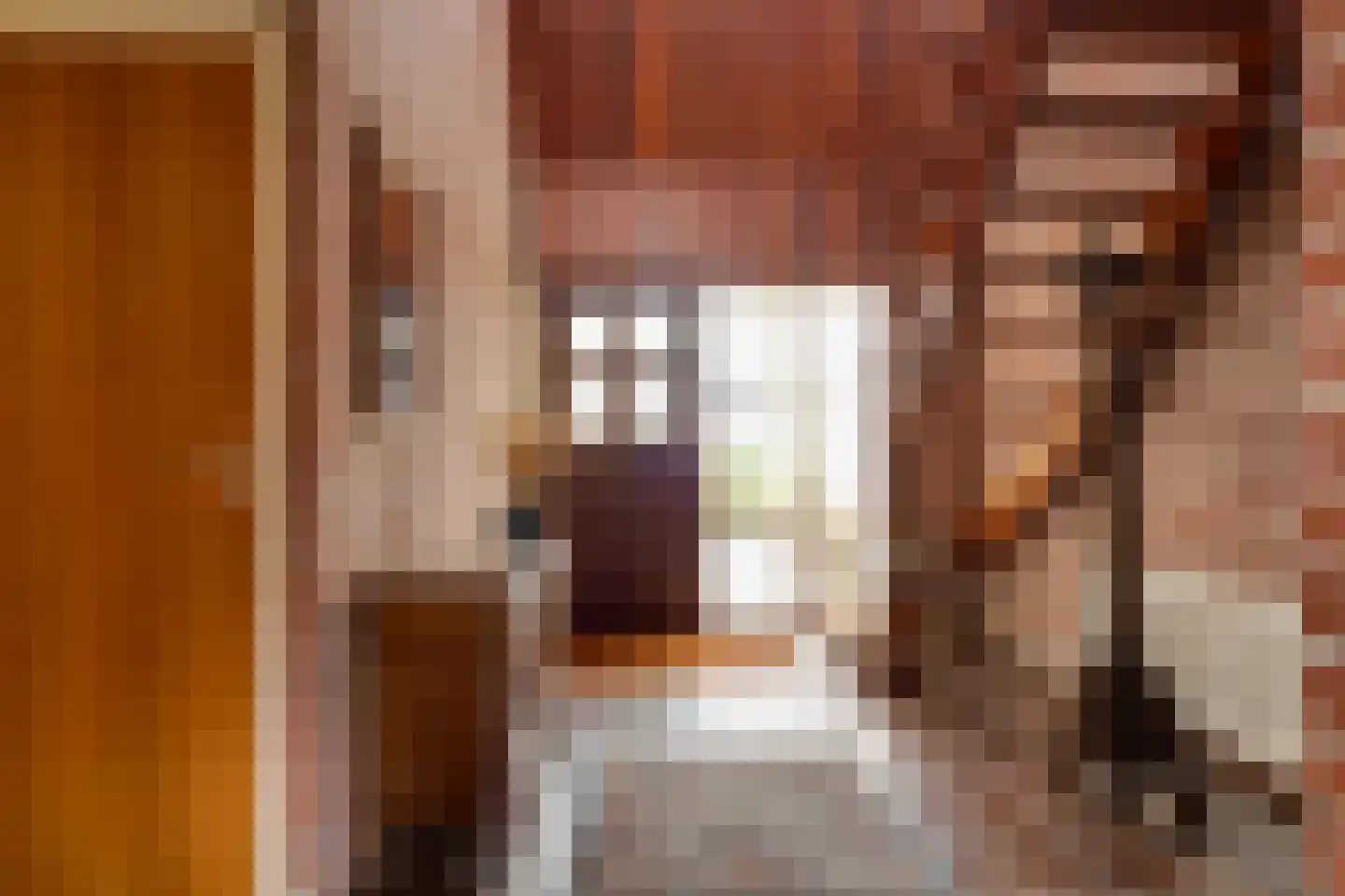De Gauw 71 Gerkesklooster thumbnail 7