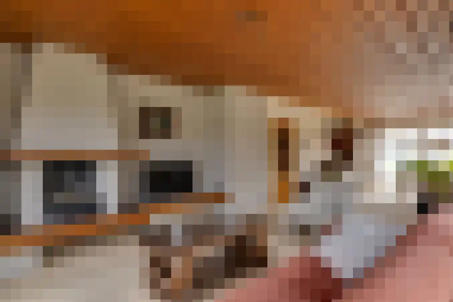 De Gauw 71 Gerkesklooster thumbnail 8