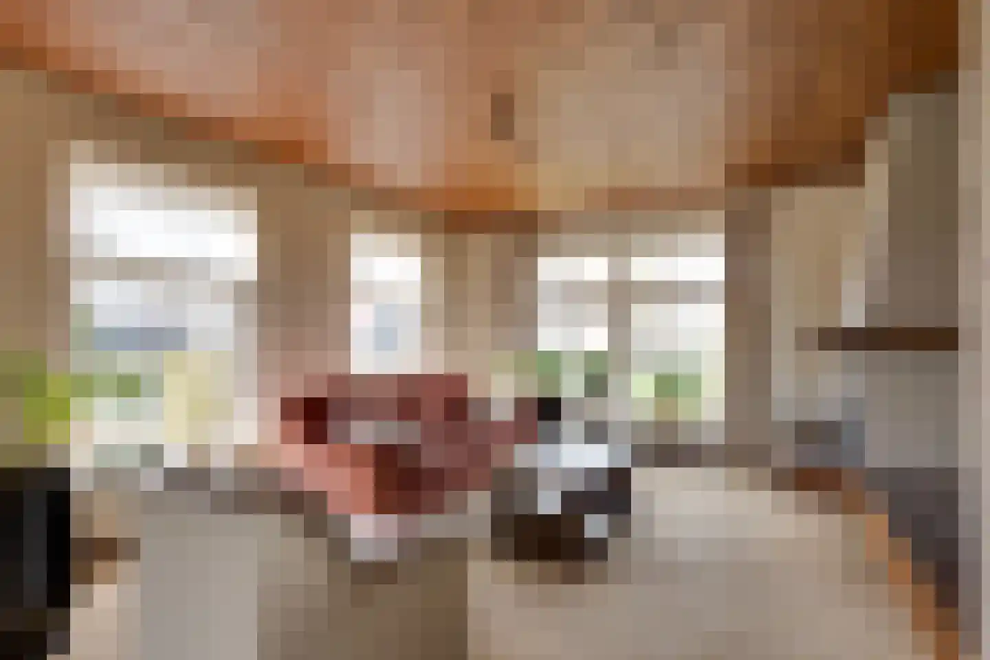 De Gauw 71 Gerkesklooster thumbnail 9