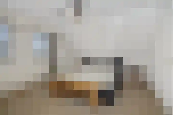De Gavel 1 Berlicum thumbnail 37