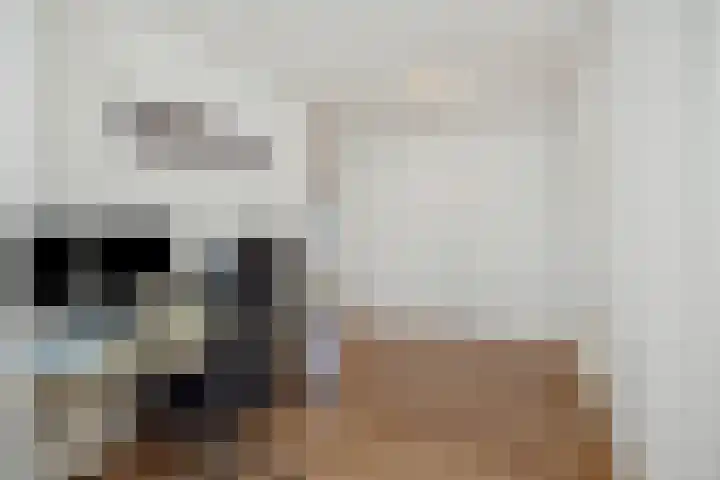 De Gavel 1 Berlicum thumbnail 43