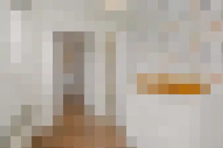 De Gavel 1 Berlicum thumbnail 44