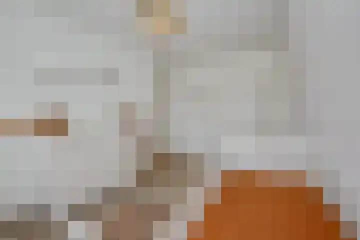 De Gavel 1 Berlicum thumbnail 47