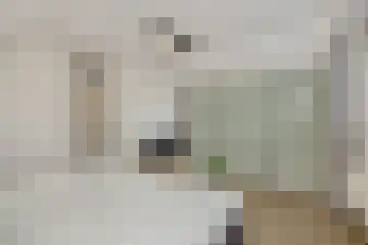 De Gavel 1 Berlicum thumbnail 5