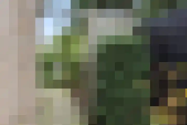 De Gavel 1 Berlicum thumbnail 59