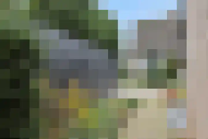 De Gavel 1 Berlicum thumbnail 60