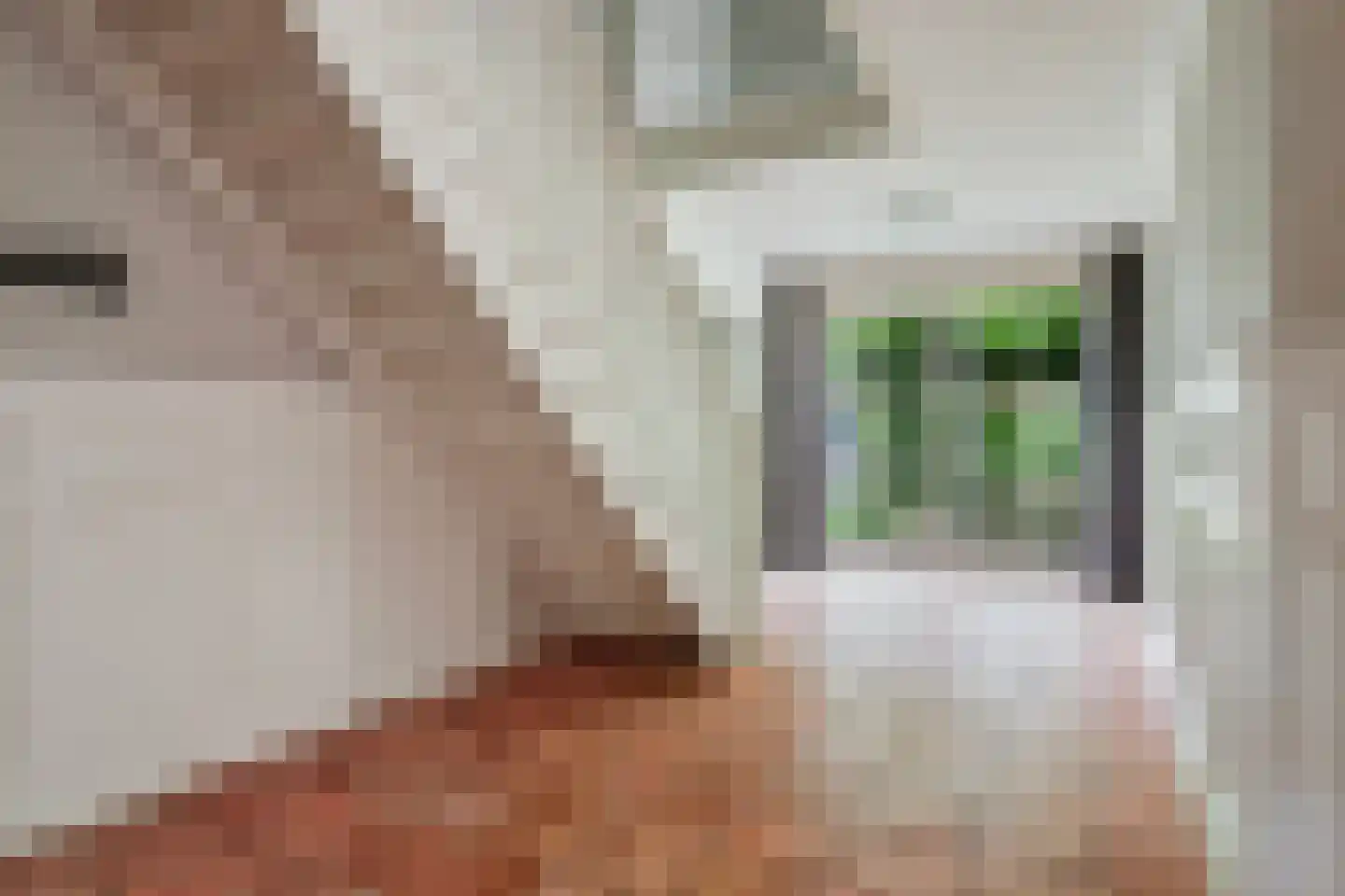 De Gavere 1 a Zorgvlied thumbnail 30
