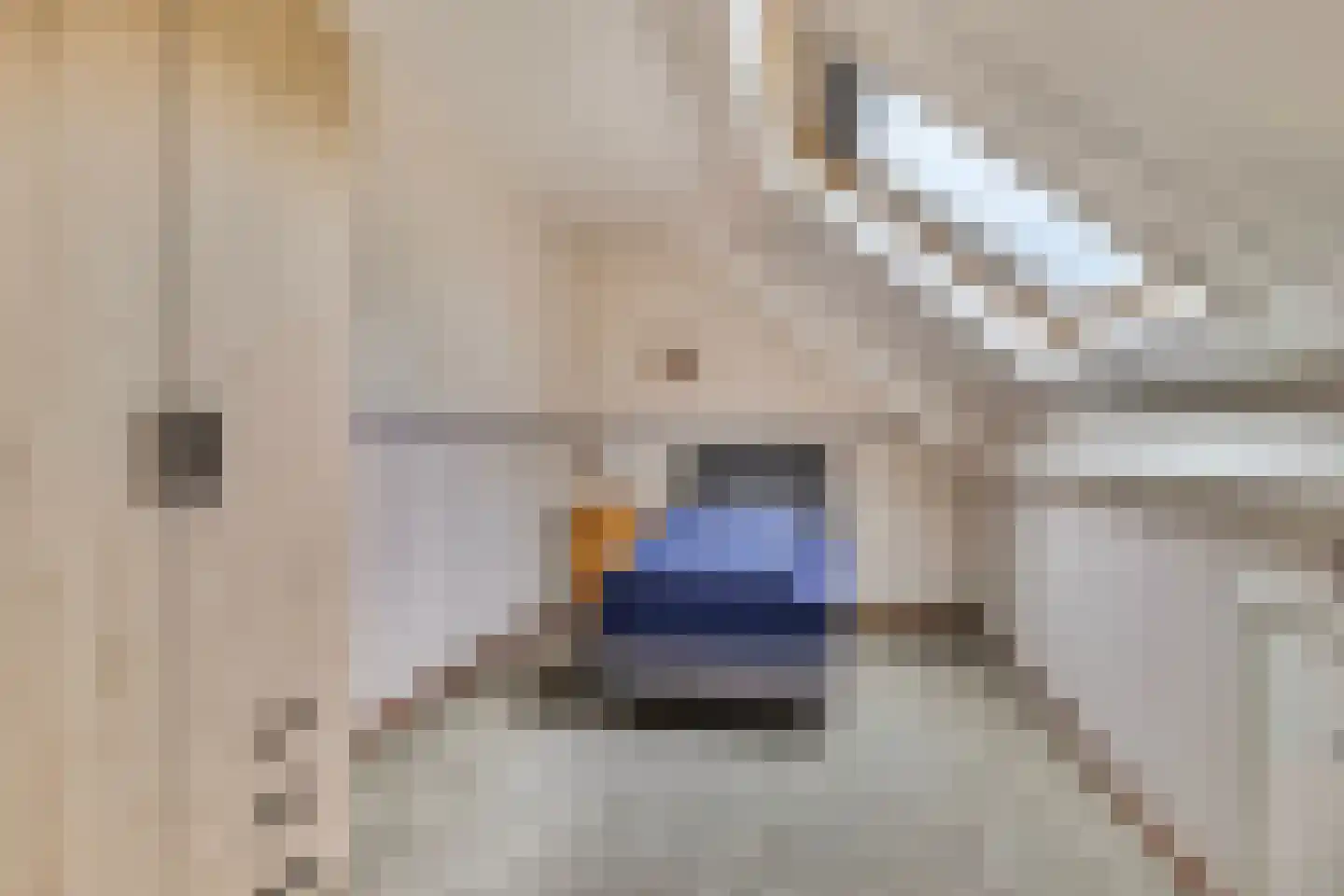 De Gavere 1 a Zorgvlied thumbnail 42