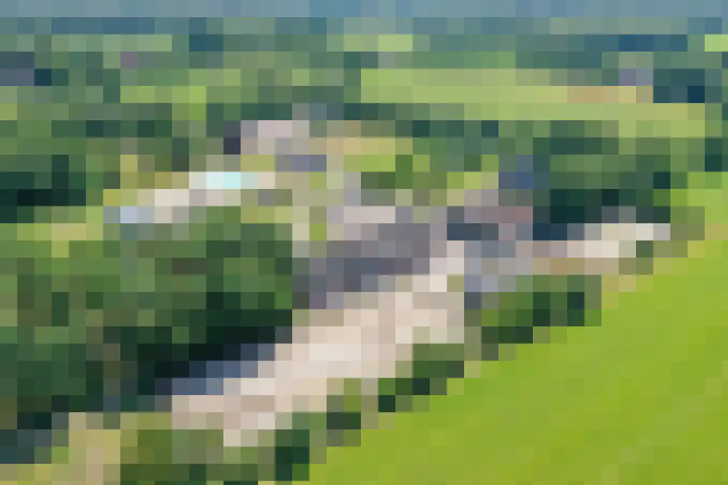 De Gavere 1 a Zorgvlied thumbnail 59