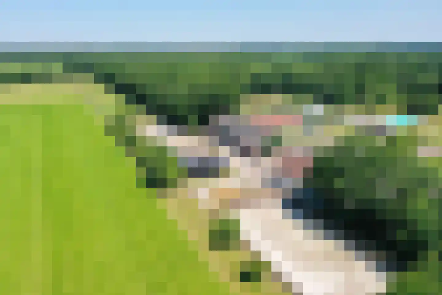 De Gavere 1 a Zorgvlied thumbnail 60