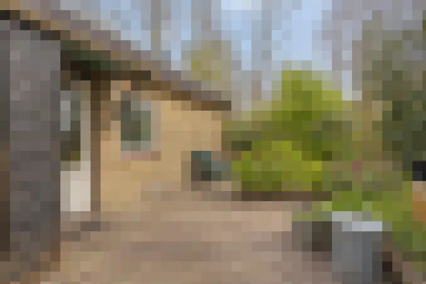 De Gavere 12 Zorgvlied thumbnail 16