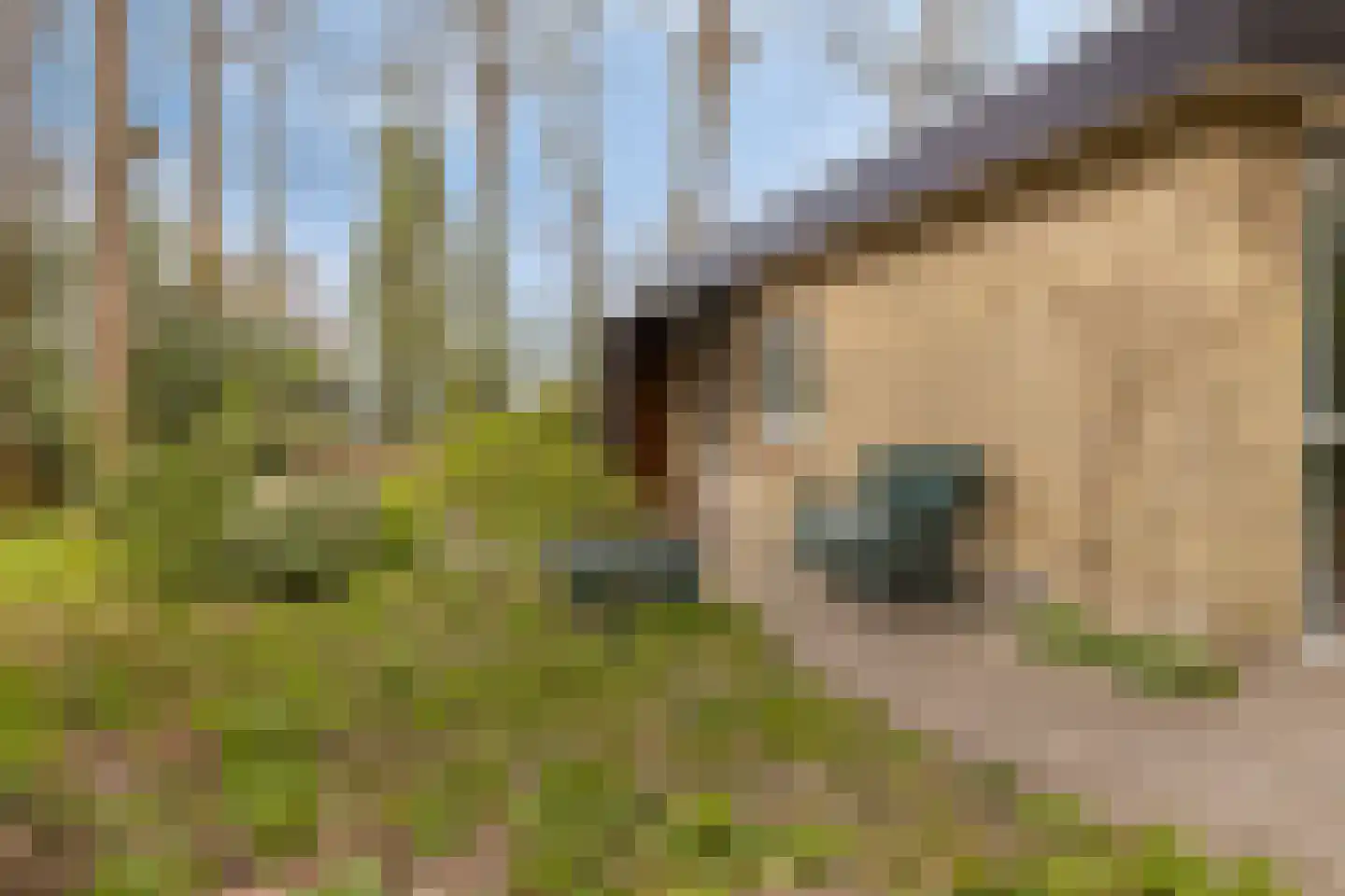 De Gavere 12 Zorgvlied thumbnail 17