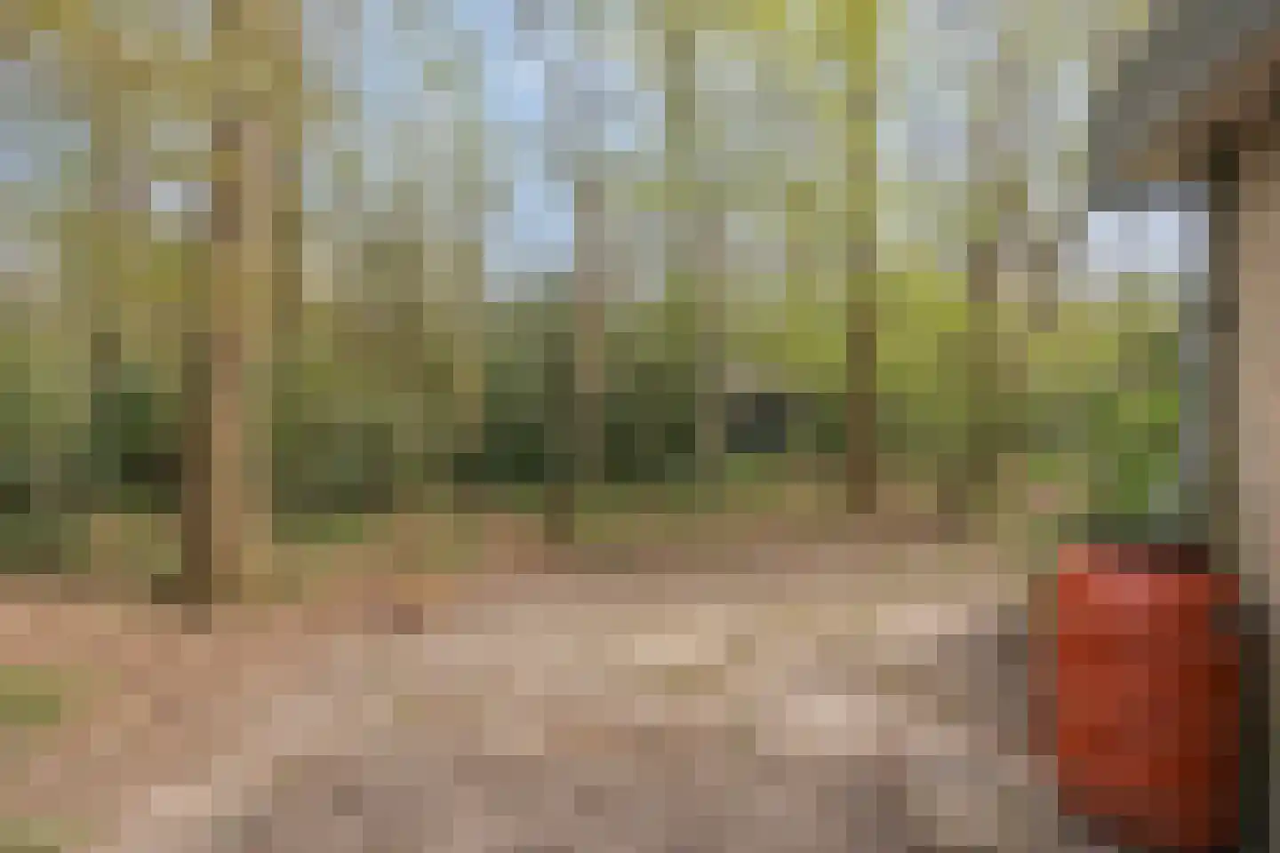 De Gavere 12 Zorgvlied thumbnail 24