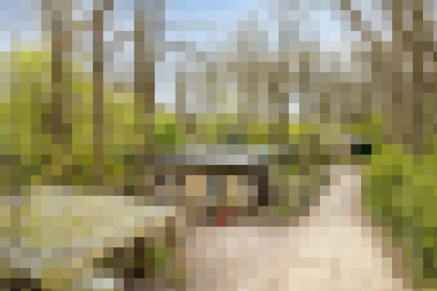 De Gavere 12 Zorgvlied thumbnail 34