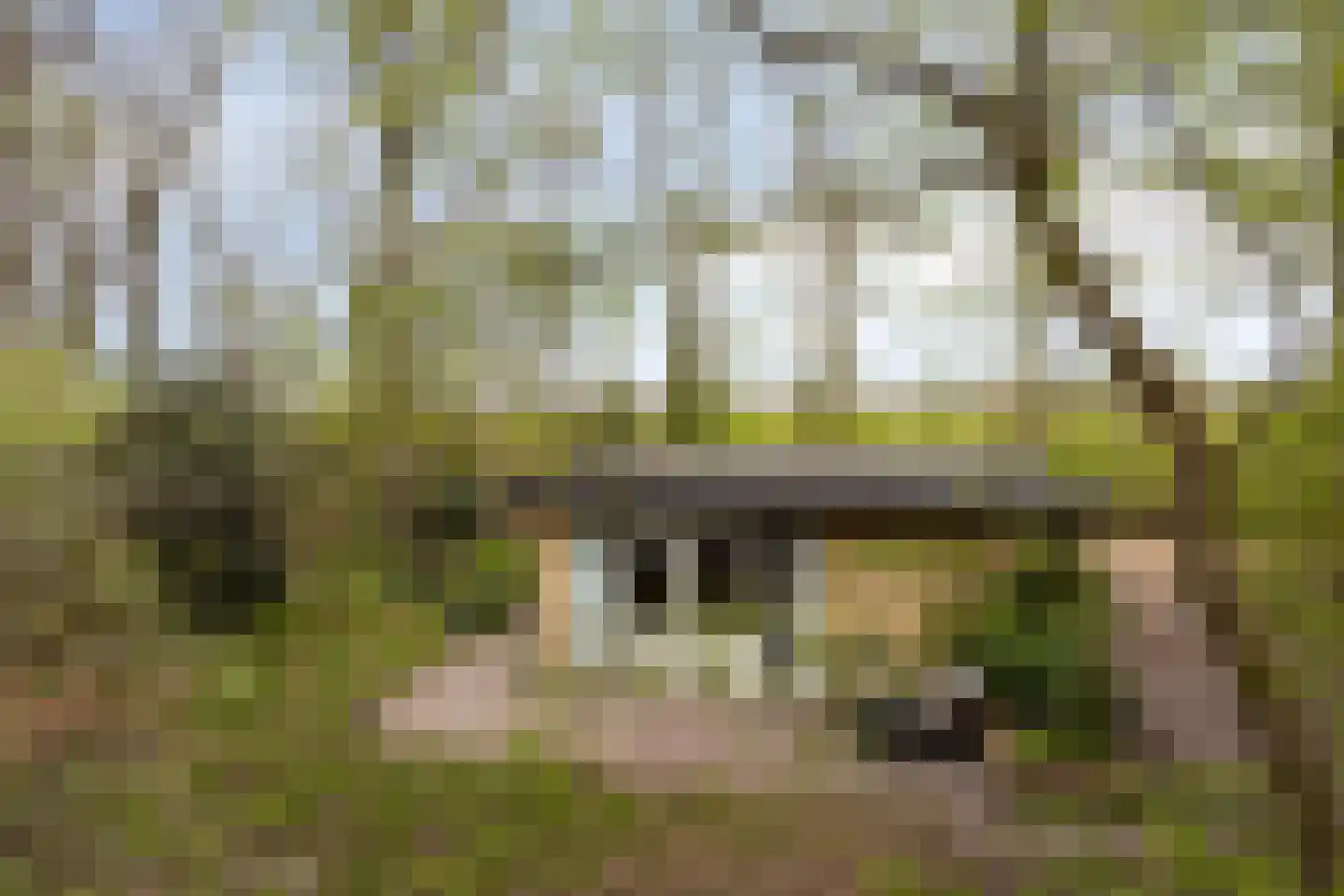 De Gavere 12 Zorgvlied thumbnail 4