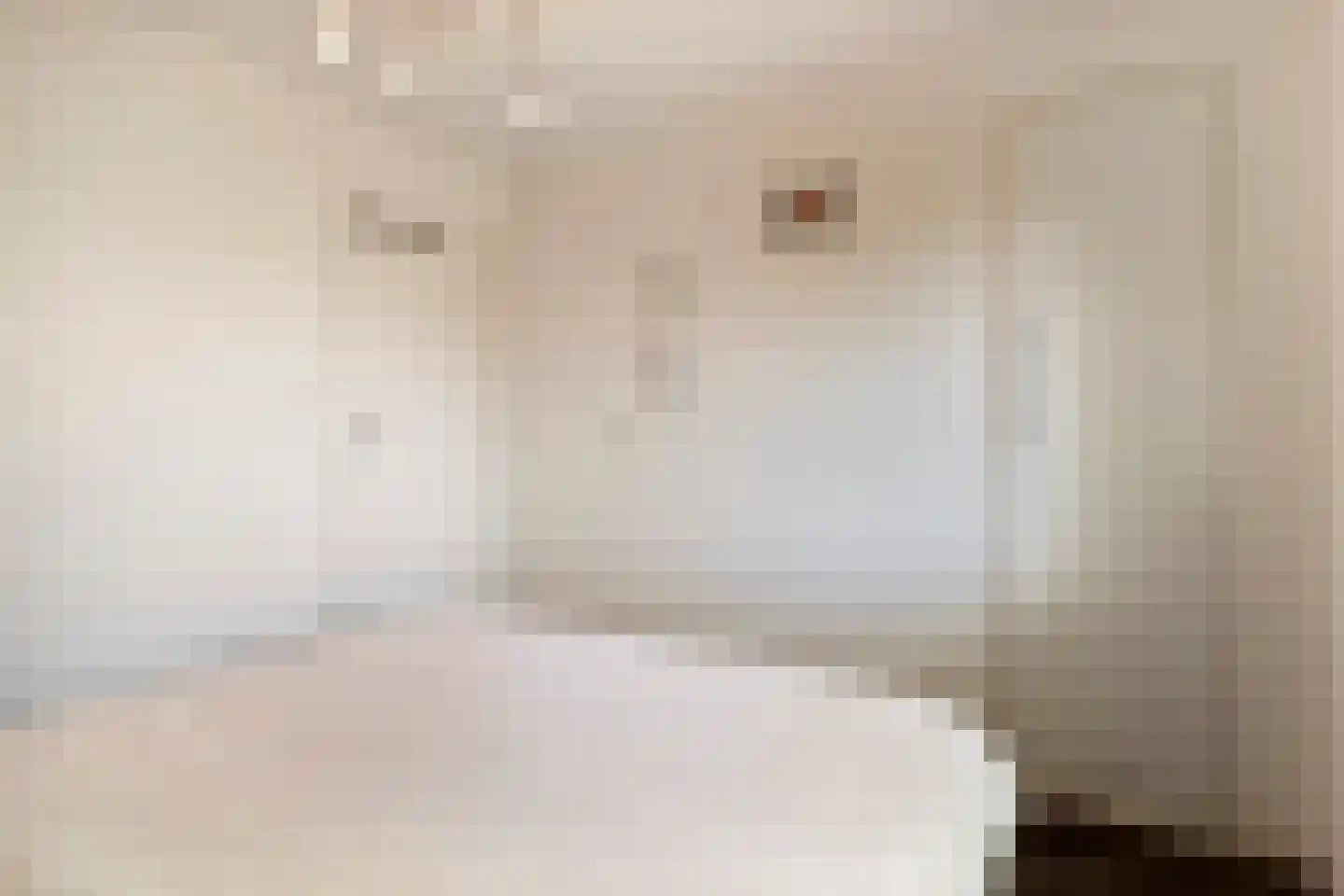De Gavere 13 Zorgvlied thumbnail 20